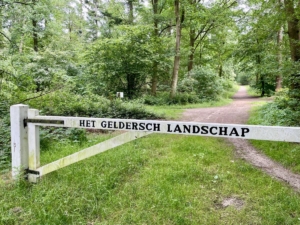 Lochem landschap
